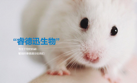 高端策劃型網站案例-蘇州睿德迅生物